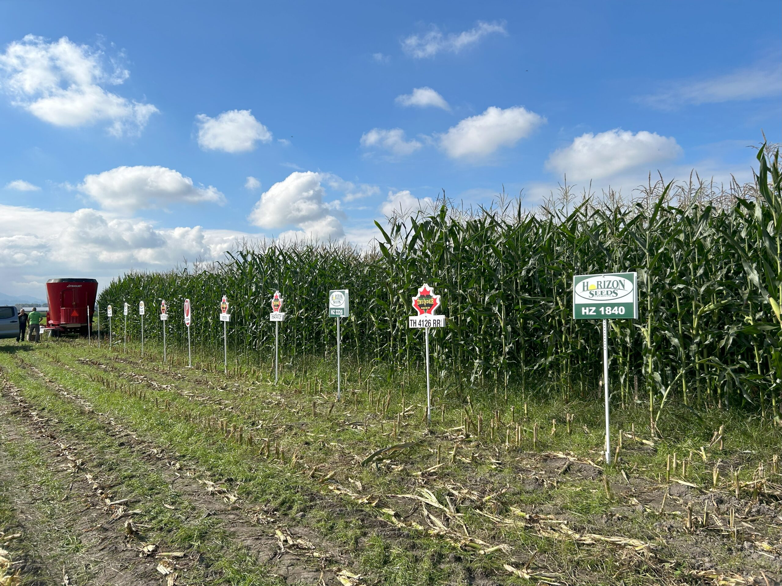 CornTrial6