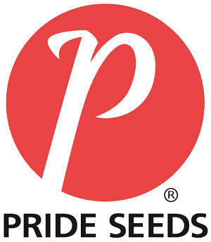 Pride-logo1